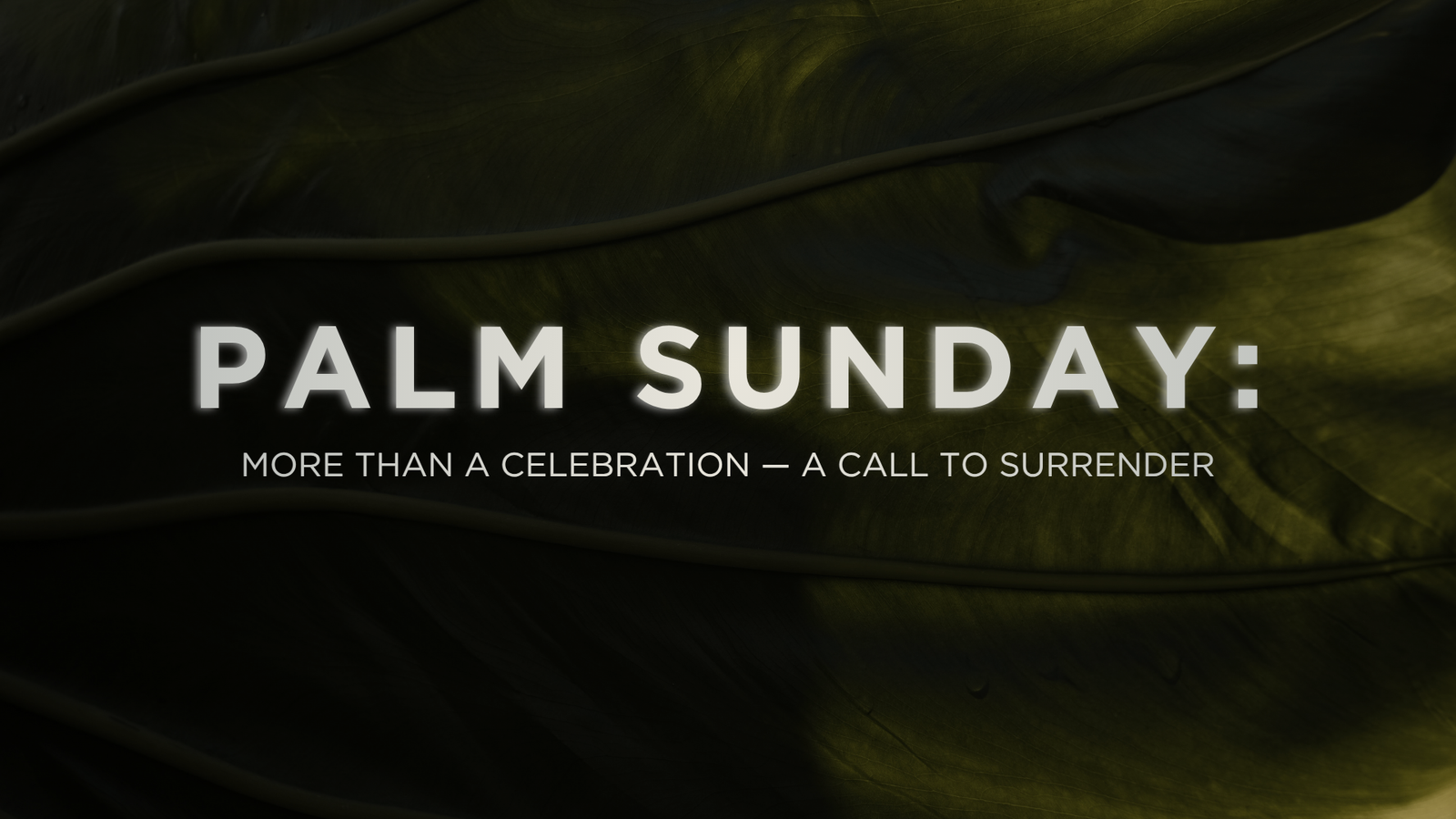 PALM SUNDAY SERMON
